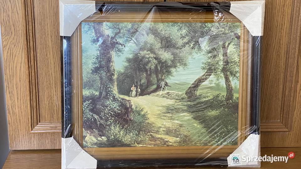 Obraz Lesna drogaDAzeglio Lublin