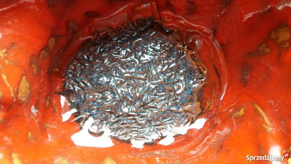 Ceramiczna miska Warszawa