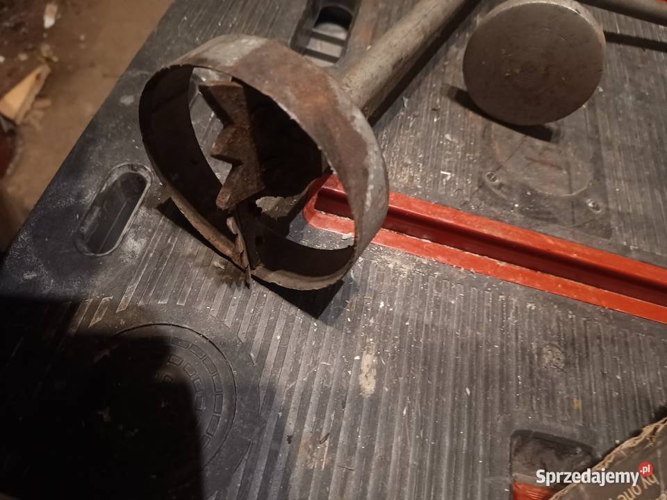 Otwornica do lodu Pozostałe dolnośląskie Leśna