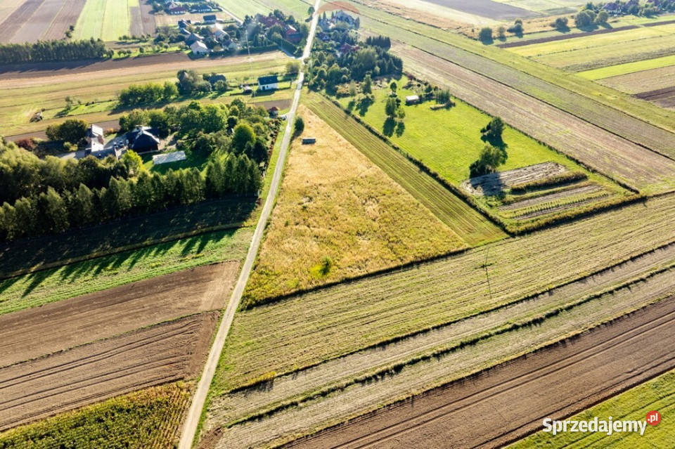 DZIAŁKA BUDOWLANA SKAŁA Grunty i działki Skała sprzedam