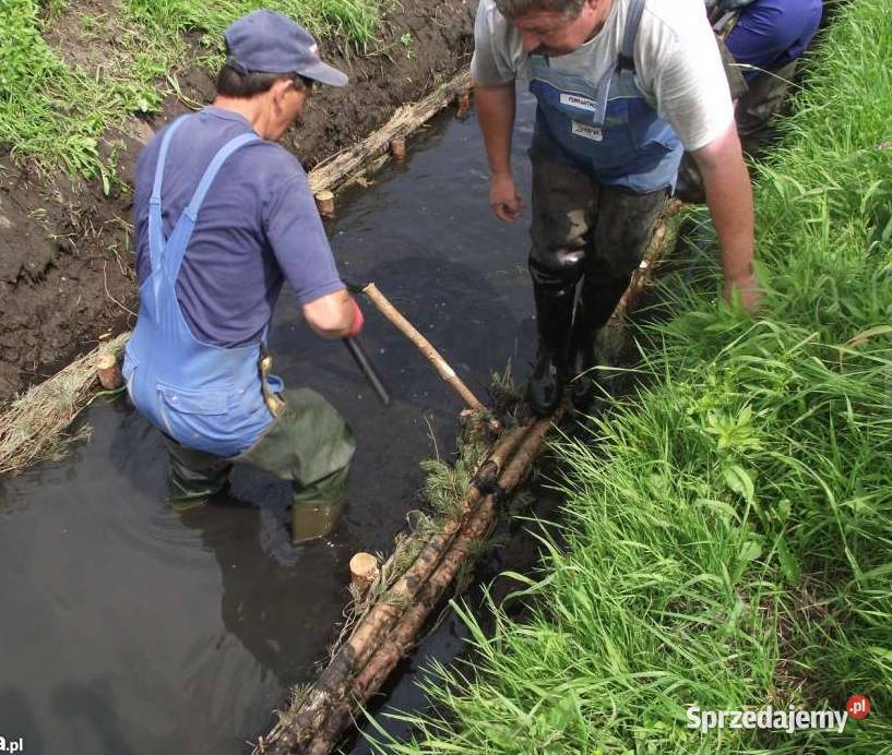 Faszyna leśna fi 20 Paliki sosnowe Krąpiel