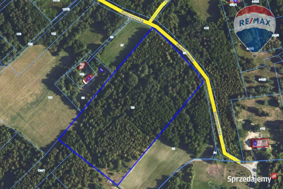 325ha wśród lasów Budy Michałowskie Sprzedaż