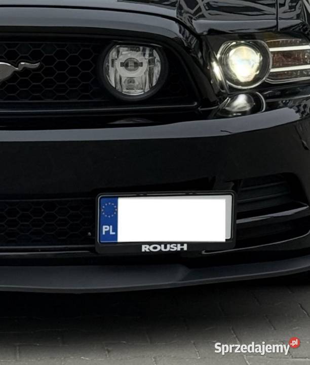 Uchwyt rejestracji Mustang