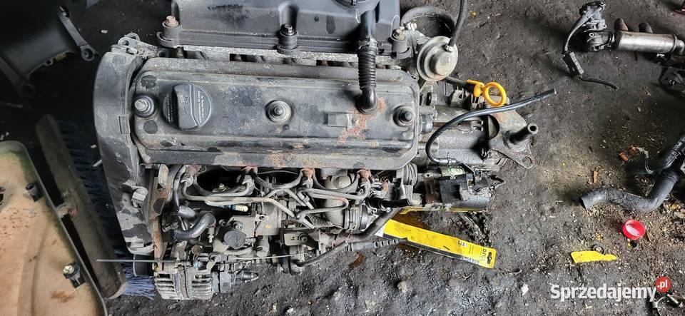 Pompa Wtryskowa Kompletna 19 D VW Golf 3 Polo T4 osobowe Pompy paliwa Gorzyce