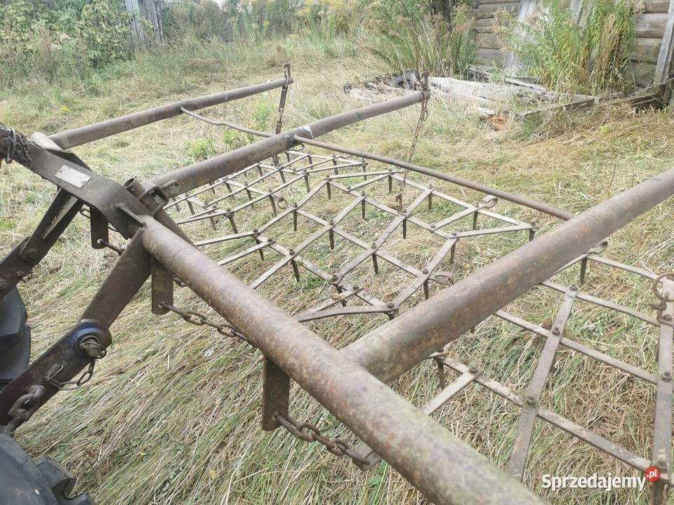 Brony nieuszkodzony Zaleszany