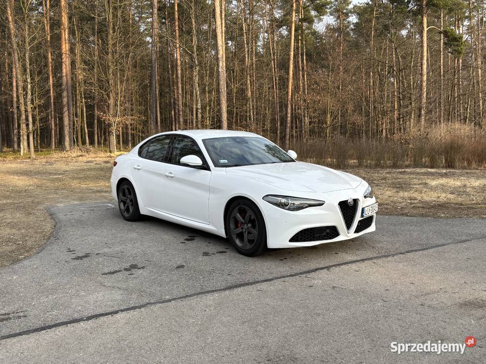 Alfa Romeo Giulia 22 JTD 180 Polski Salon