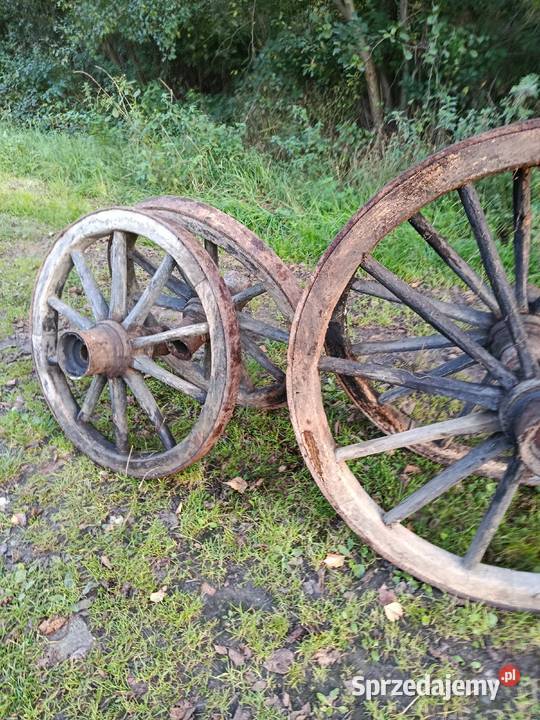 Koła wozu konnego Dulcza Wielka