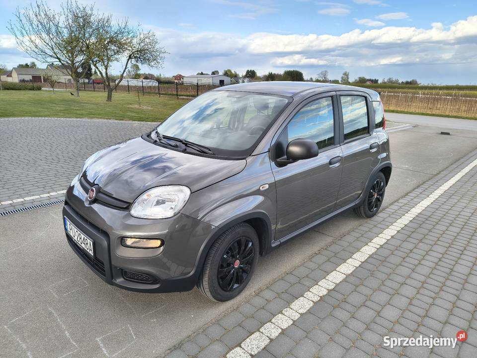 Sprzedam Fiat Panda 12 LPG niski przebieg 25000km Nowy Pożóg
