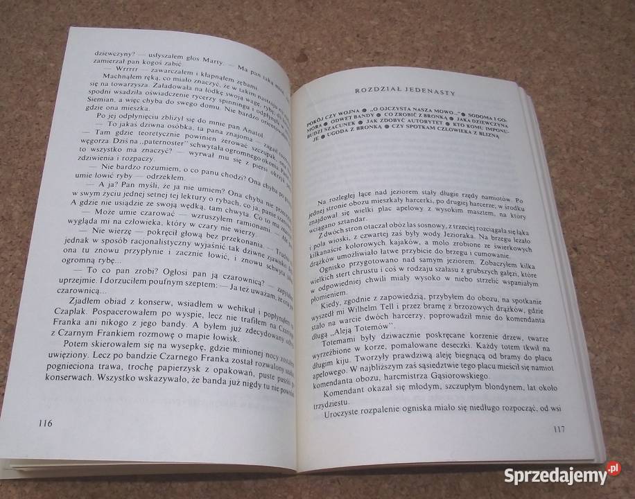 L Pan Samochodzik Nowe przygody Nienacki Warszawa