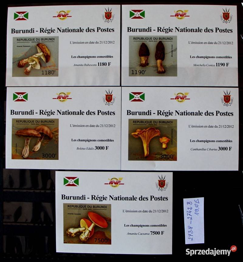 Burundi wielkopolskie Oborniki sprzedam