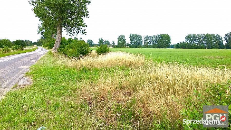 Grunt Trzebieszewo 3000m2