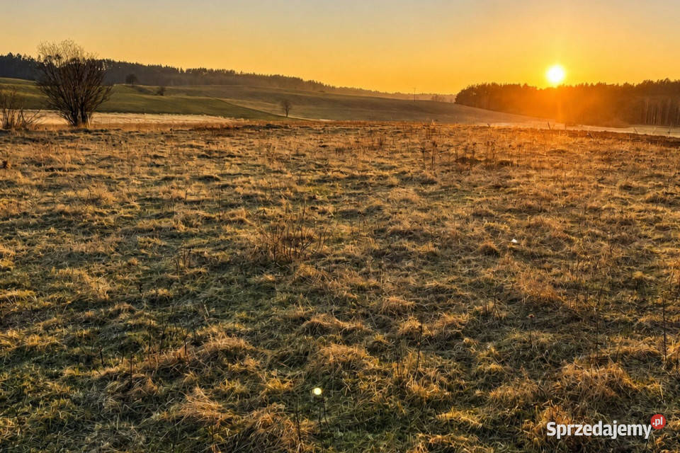 Dwie działki na sprzedaż Rzepowo utwardzona sprzedam