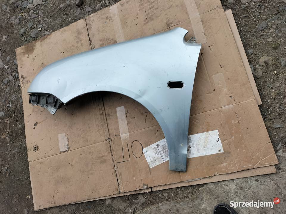 Polo 9N BŁOTNIK LEWY PRZÓD Kamień-Kolonia