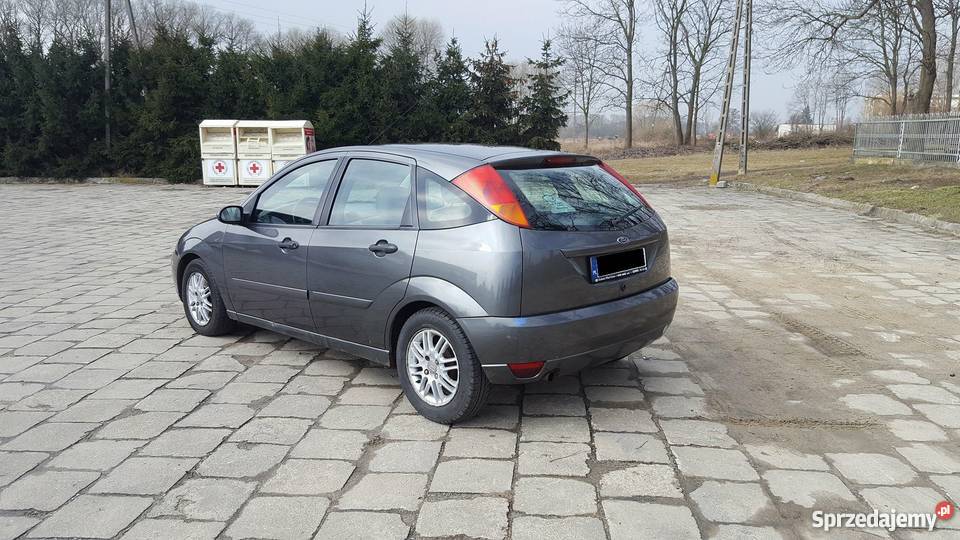 Ford Focus Zadbany Doinwestowany Bez Rdzy USA Wisznice
