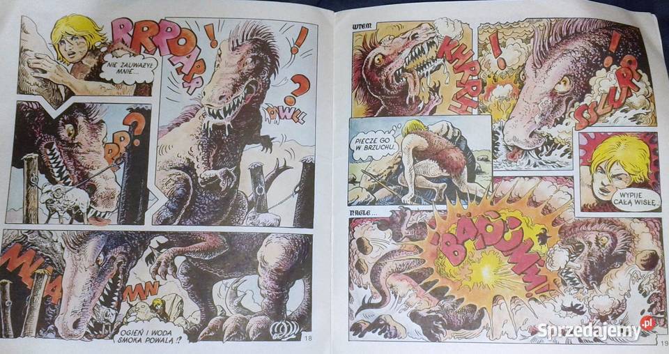 Doman Pogromca smoka A O Nowakowski lubelskie Chełm