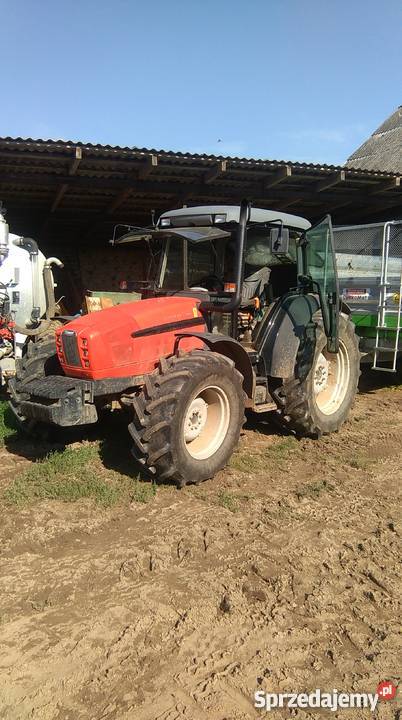 Same Explorer 3 Kumelsk sprzedam