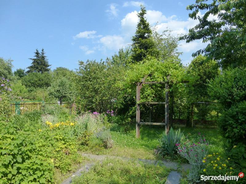 Dzialka ROD w centrum Krakowa zagospodarowana Kraków