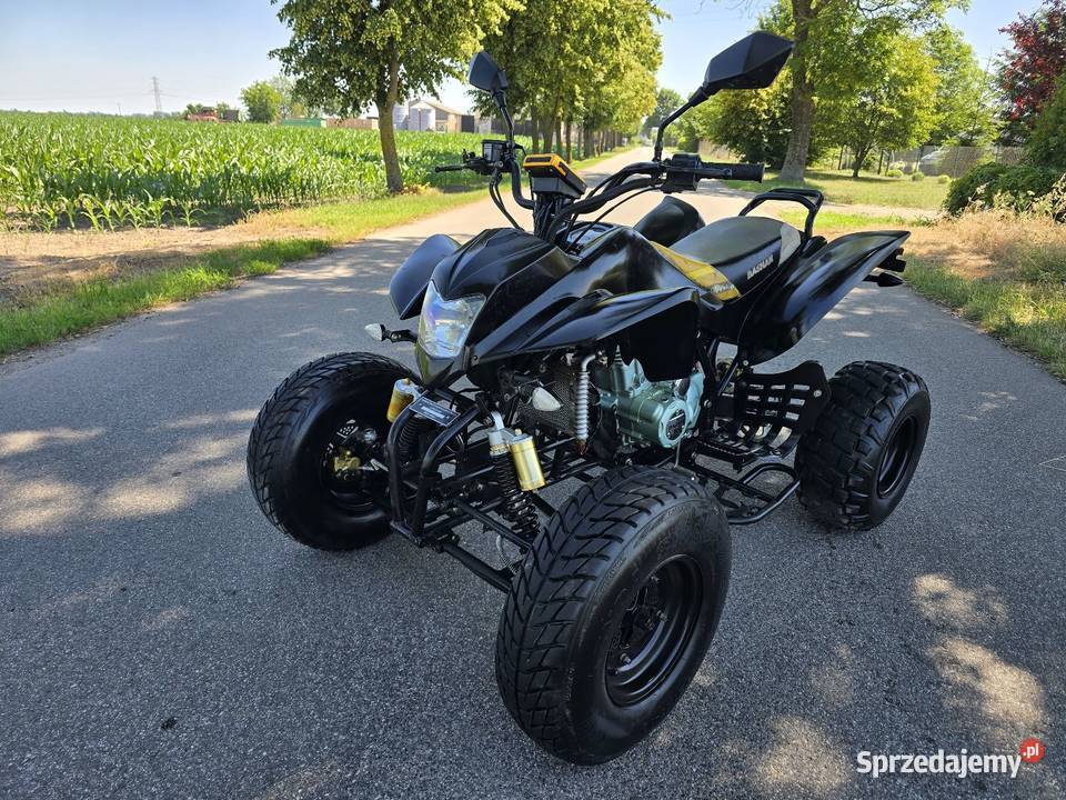 Quad Bashan Bs 250cc Duża Rama 41R Ciecz 2014r Kruszwica sprzedam