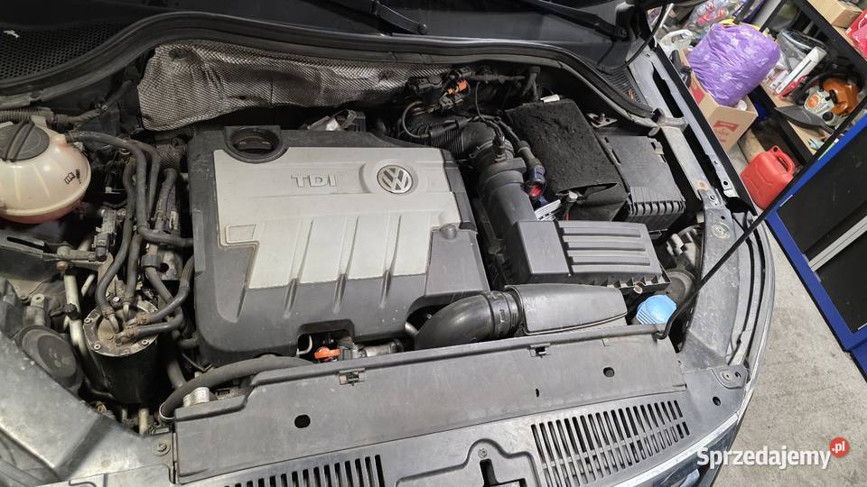 Volkswagen Tiguan 2010r warmińsko-mazurskie Braniewo