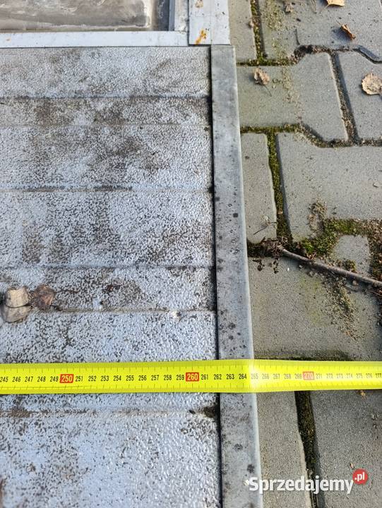 Panele brama segmentowa Czarny Las