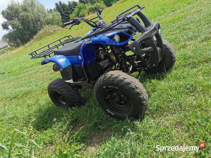 Duży wysoki Quad 200 rama XXI biegi 1 1 koła 10 100km Miejska Górka sprzedam