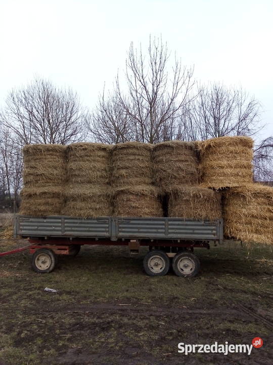 Przyczepa tandem sztywna trzyosiowa nieuszkodzony