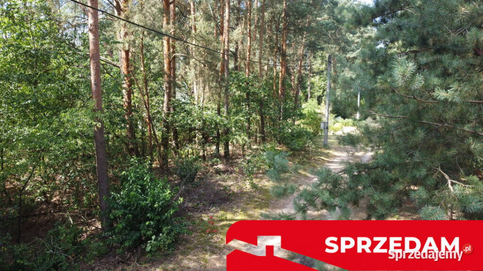 Działka letniskowa 800 m2 w Woli Chodkowskiej Wola Chodkowska sprzedam