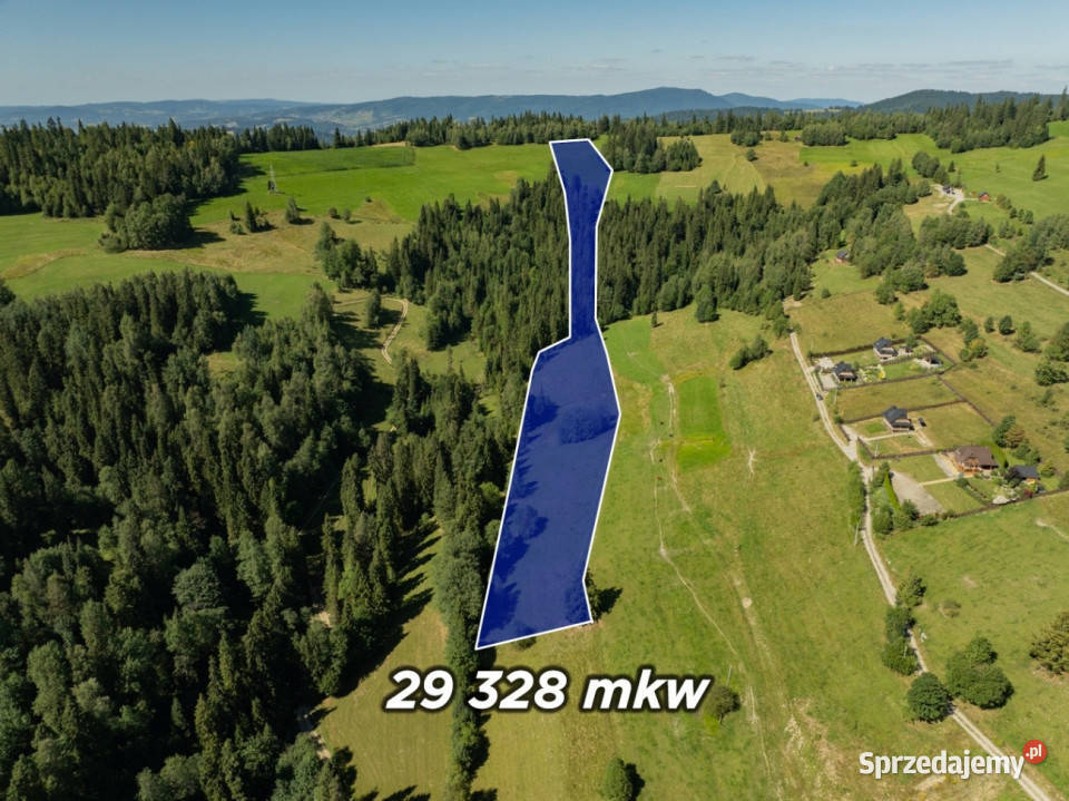Działka rolnoleśna Obidowa 29328m2 małopolskie