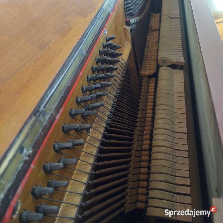 Pianino Zimmermann pomorskie Gdańsk