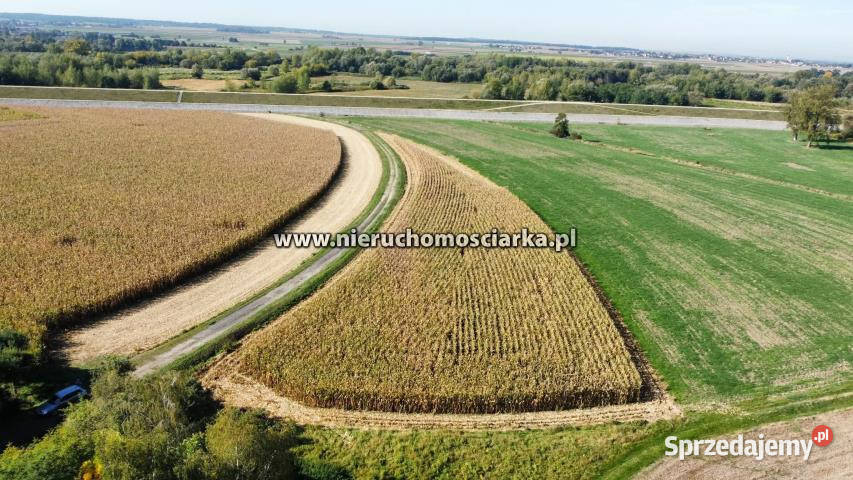 Grunt do sprzedania 4540m2 Buków utwardzona