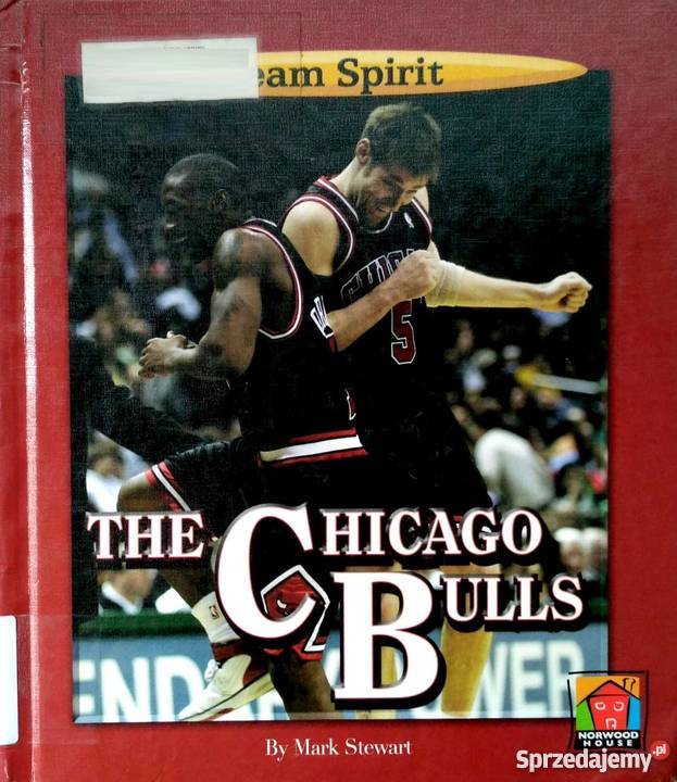 THE CHICAGO BULLS TEAM SPIRIT STEWART MARK Lublin