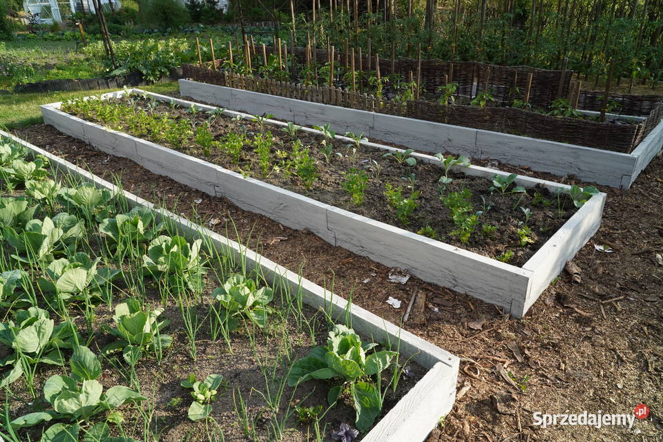 Warzywniak betonowy podwyższona grządka 128x371 Bielsko-Biała