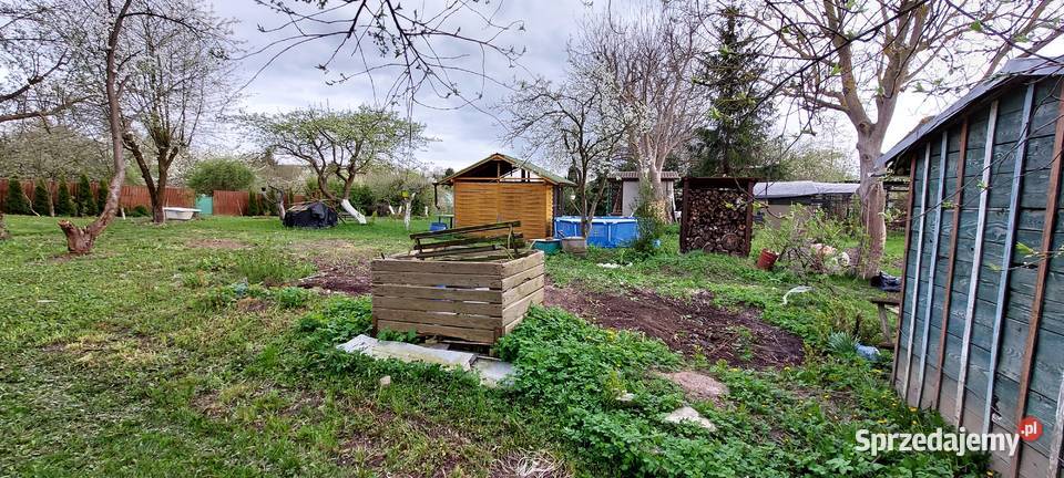 Działka ROD Targowa pomorskie Malbork