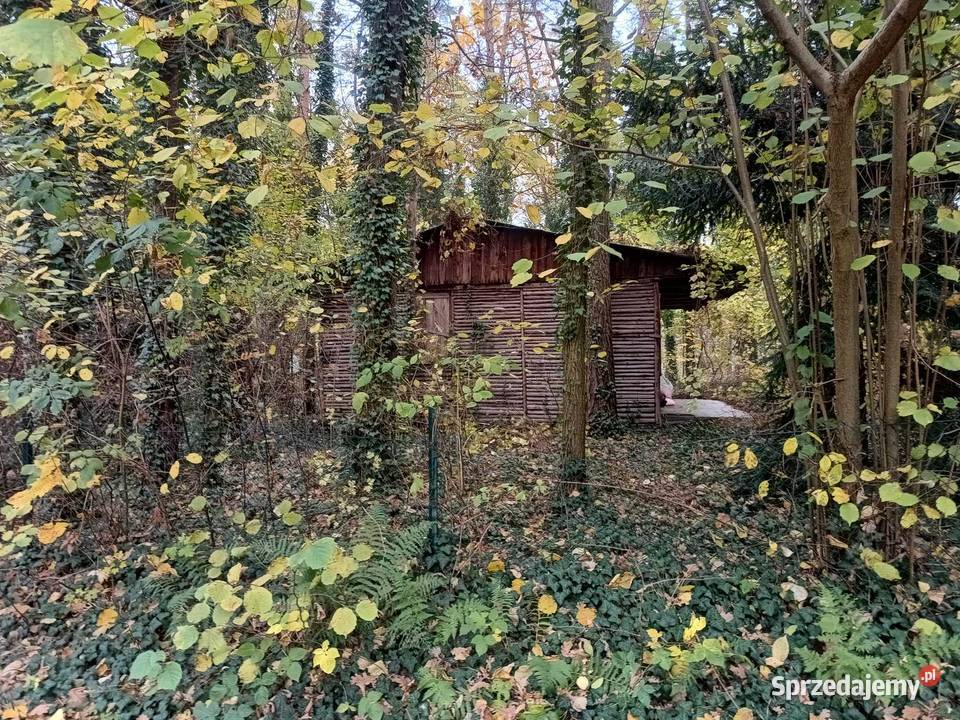 Działka rekreacyjna Zalewem Zegrzyńskim Żeglarstwo mazowieckie Międzyborów