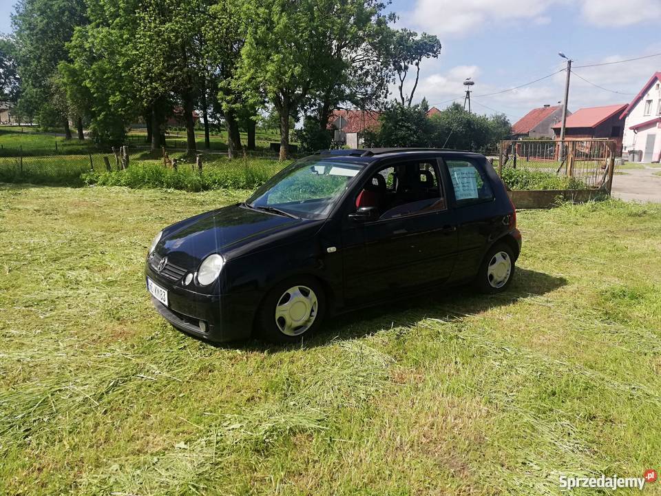 Lupo gotowe do rejestracji warmińsko-mazurskie Lwowiec