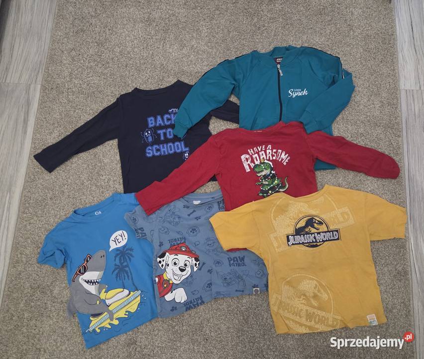 Zestaw ubrań chłopca 110116 Świdnica Polska