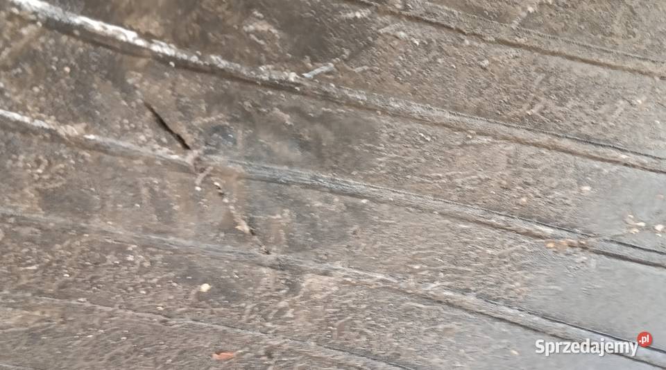 Para opony CONTINENTAL AC85 Radialne 52085 R 38 łódzkie Kutno