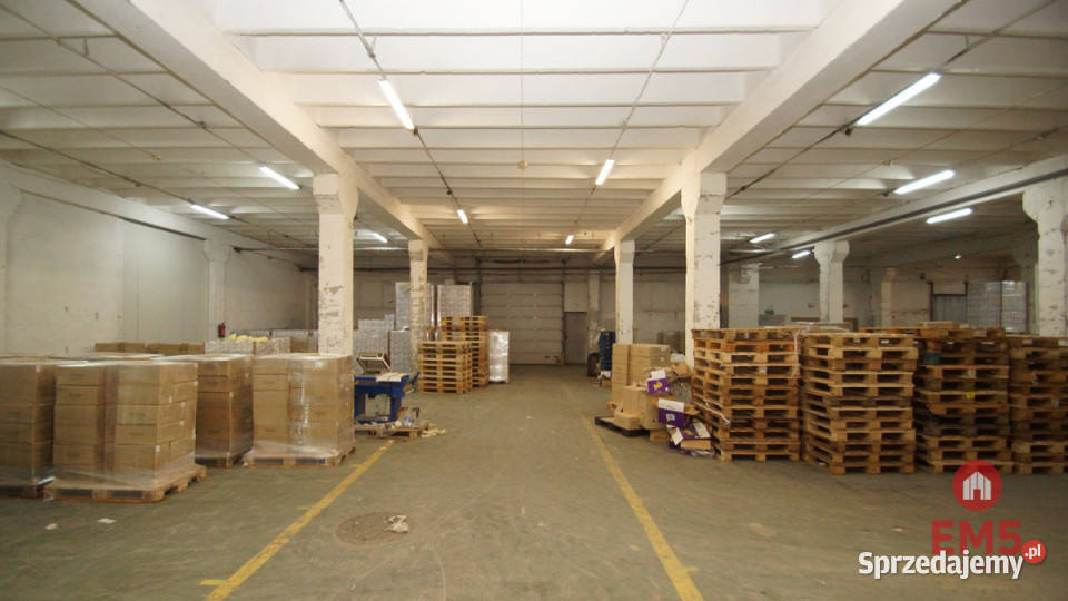 Lokal 1000m Białystok 1000m2
