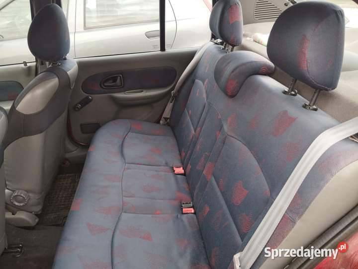 Renault Thalia Strzelin