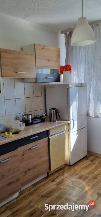 3pok 62met Sielskiej BALKONPIWNICAWINDA Wrocław Sprzedaż