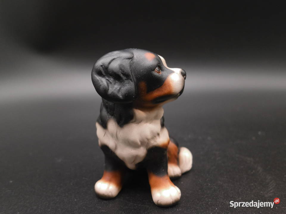 Figurka psa Berneński pies pasterski wielkopolskie Raszków