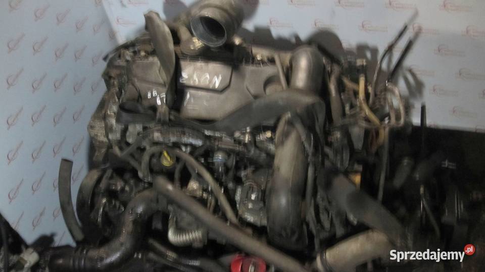 TRAFIC VIVARO 20 DCI M9R780 EURO4 167 silnik świętokrzyskie Kielce