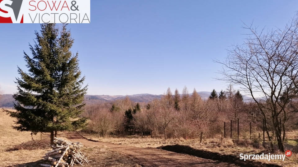 Panorama Góry Sowie Zagórze Śląskie