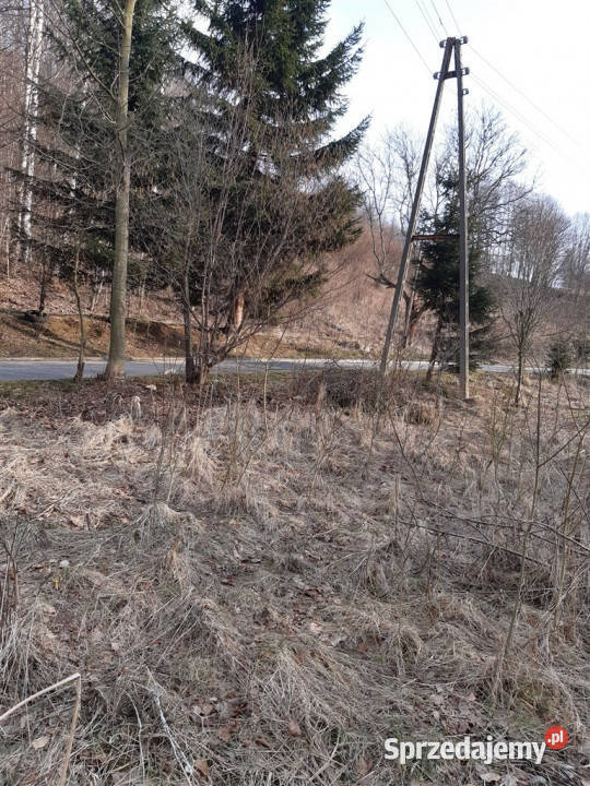 Grunt Niedźwiedzica