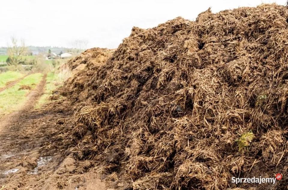 Nawóz naturalny Nieczulice sprzedam
