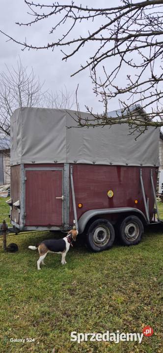 Przyczepa do przewozu zwierząt Krzczonów Trzeci