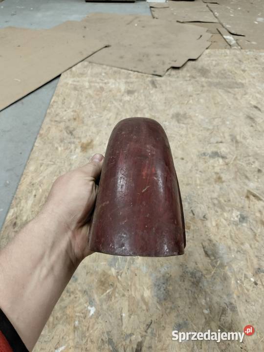 Komar błotnik przedni Rozkochów