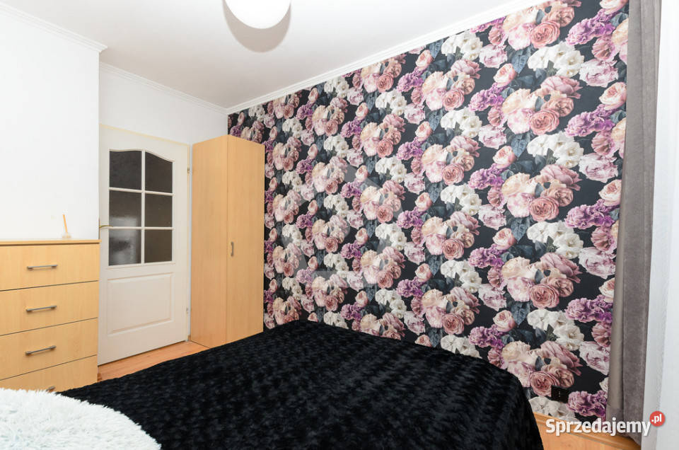 Mieszkanie 2 pokojowe do wynajęcia Piętro 1 podkarpackie