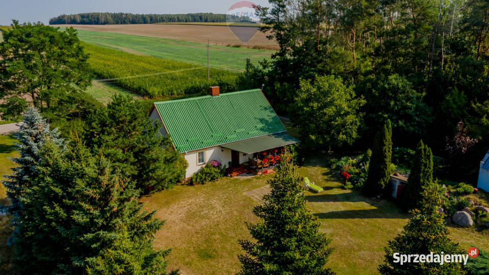 Siedlisko pod gosp ekologiczne hodowlę koni Sprzedaż Bałki sprzedam