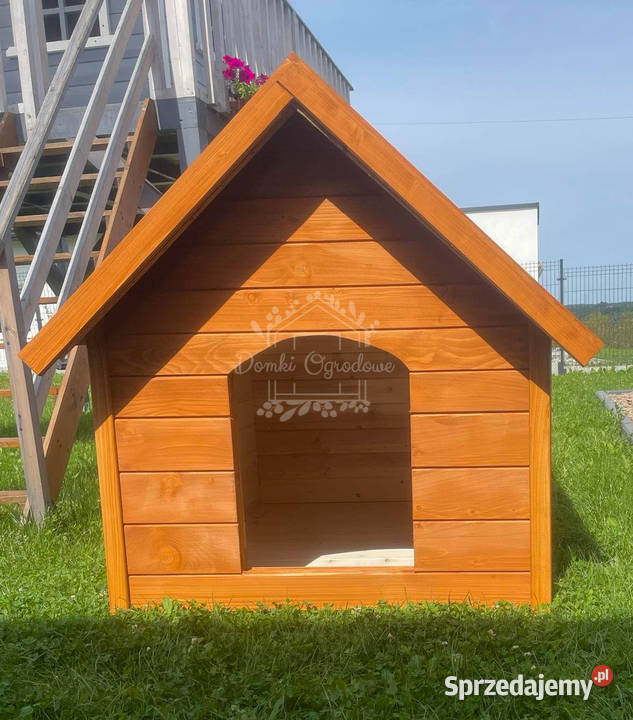 Buda psa Rozmiar XL Pinia Dach dwuspadowy ID835 Olsztyn